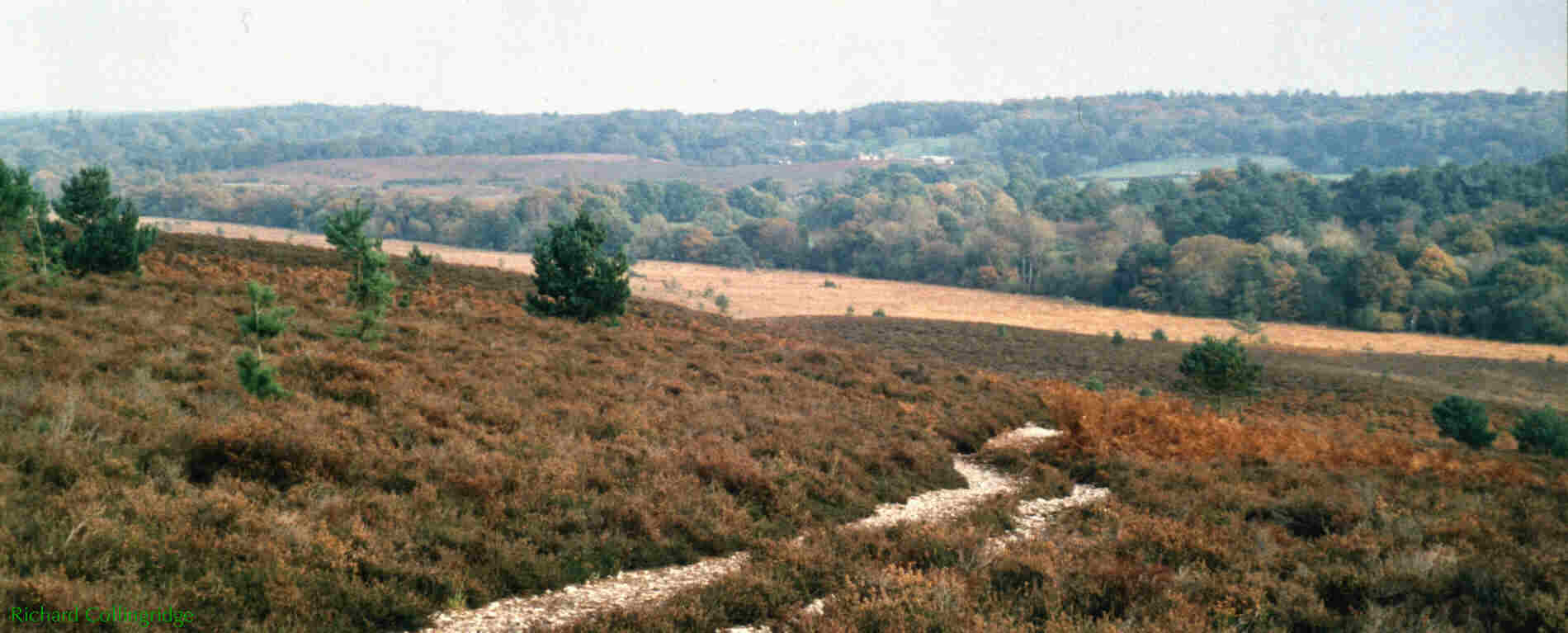 Appleslade and Linwood from west