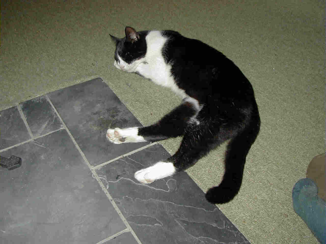 Woodruff hoping no-one pinches her dinner