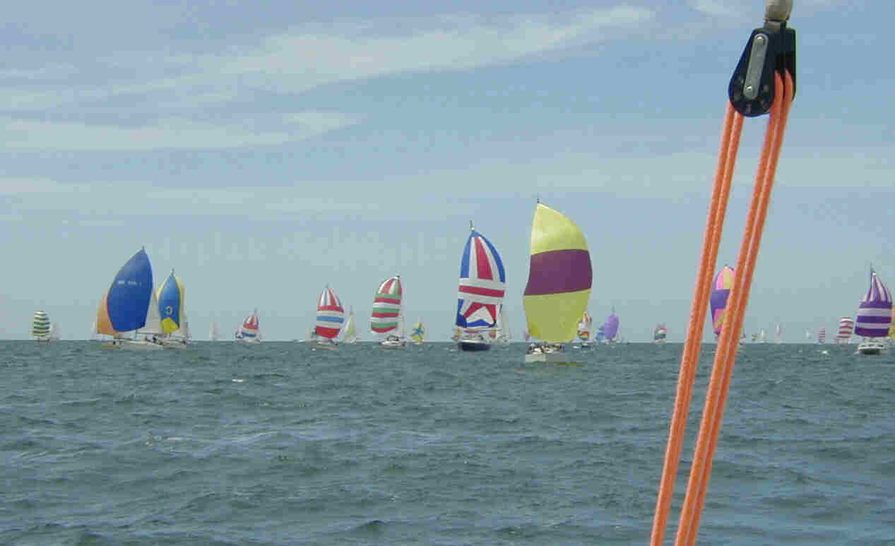 Spinnakers south of the Island