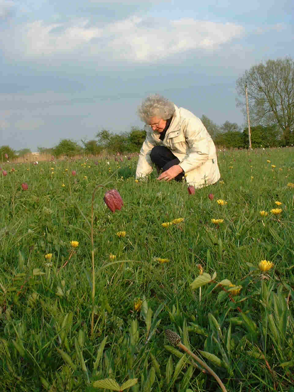 Richard's mum Anne at North Meadow Cricklade