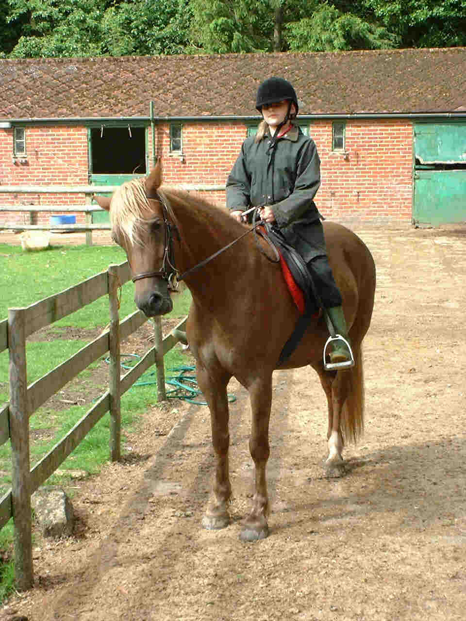 Eleanor on Hazel