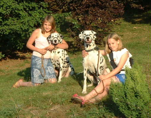 
Abi, Ellie, Towser and Spot