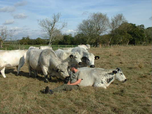 
Richard relaxing with cattle
