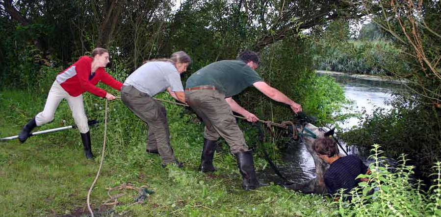 
Rescuing Huckle