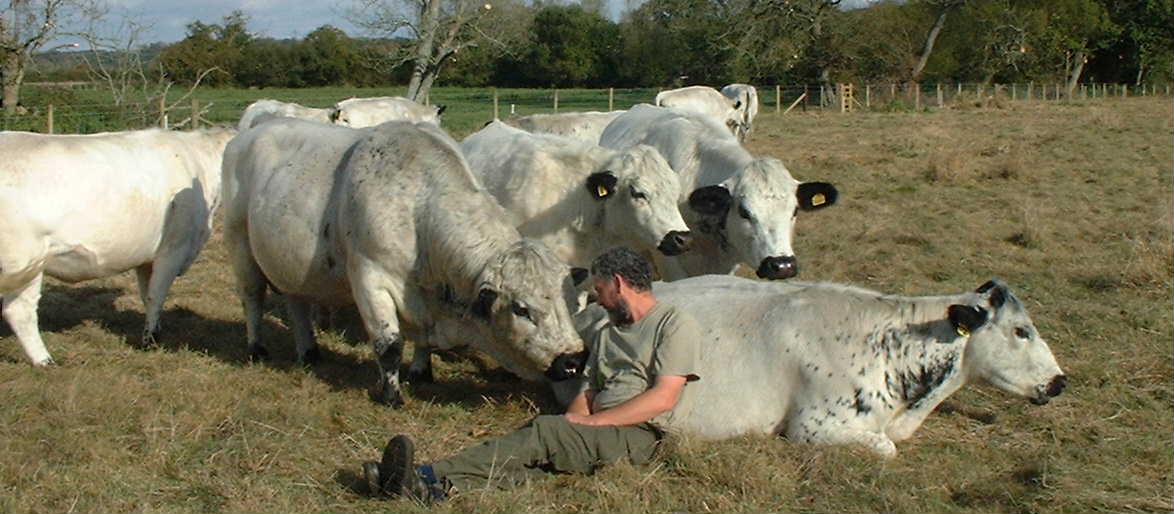 
Crunchie and some of his herd